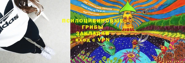 соль курить ск Алзамай